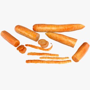 3d model carrot