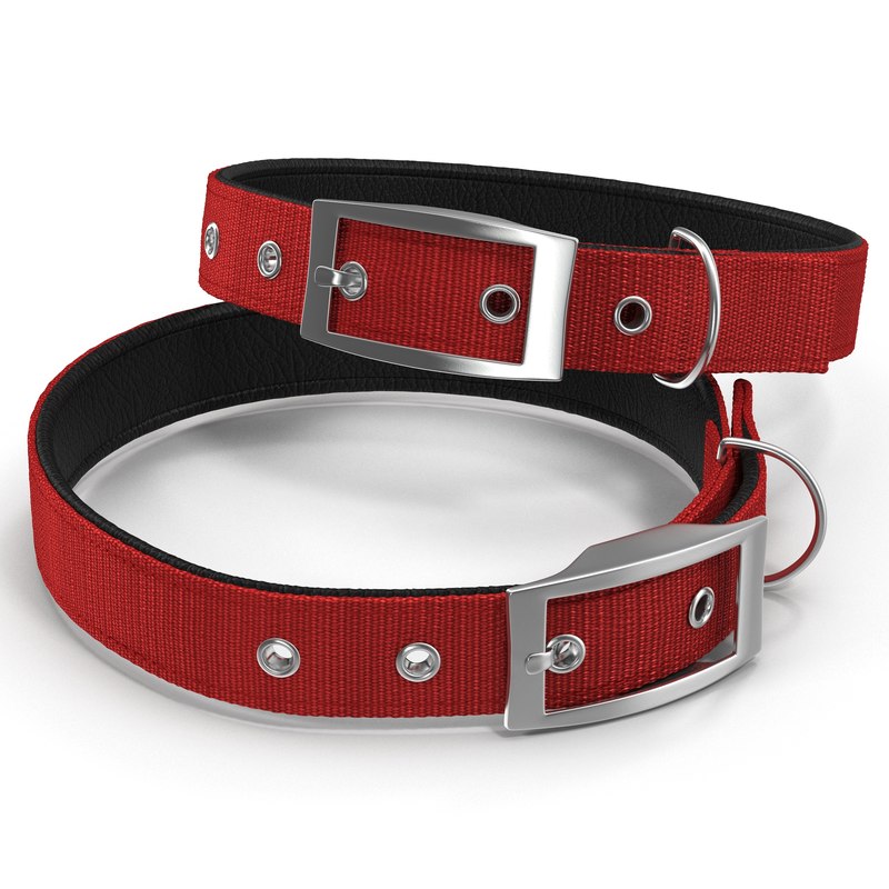 dog collar 3 red 3d model