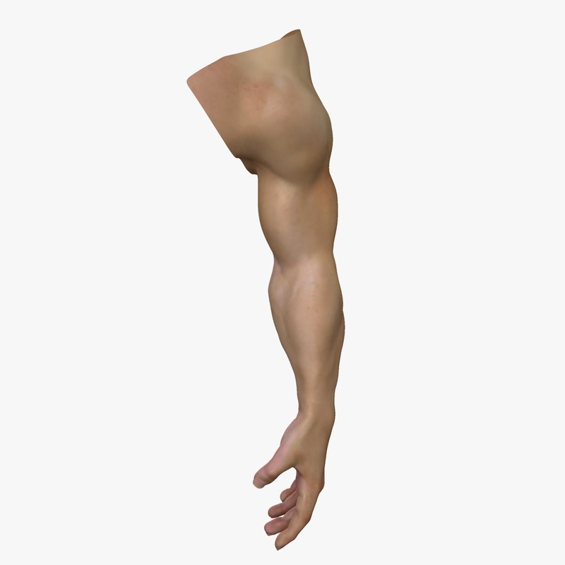 3d complete male arm anatomy