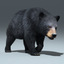 black bear fur rigged 3d max