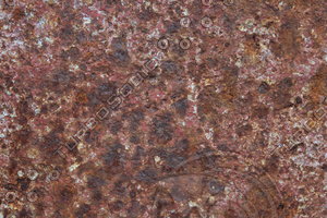 Rusted Metal_0012