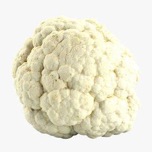 cauliflower flower 3d model