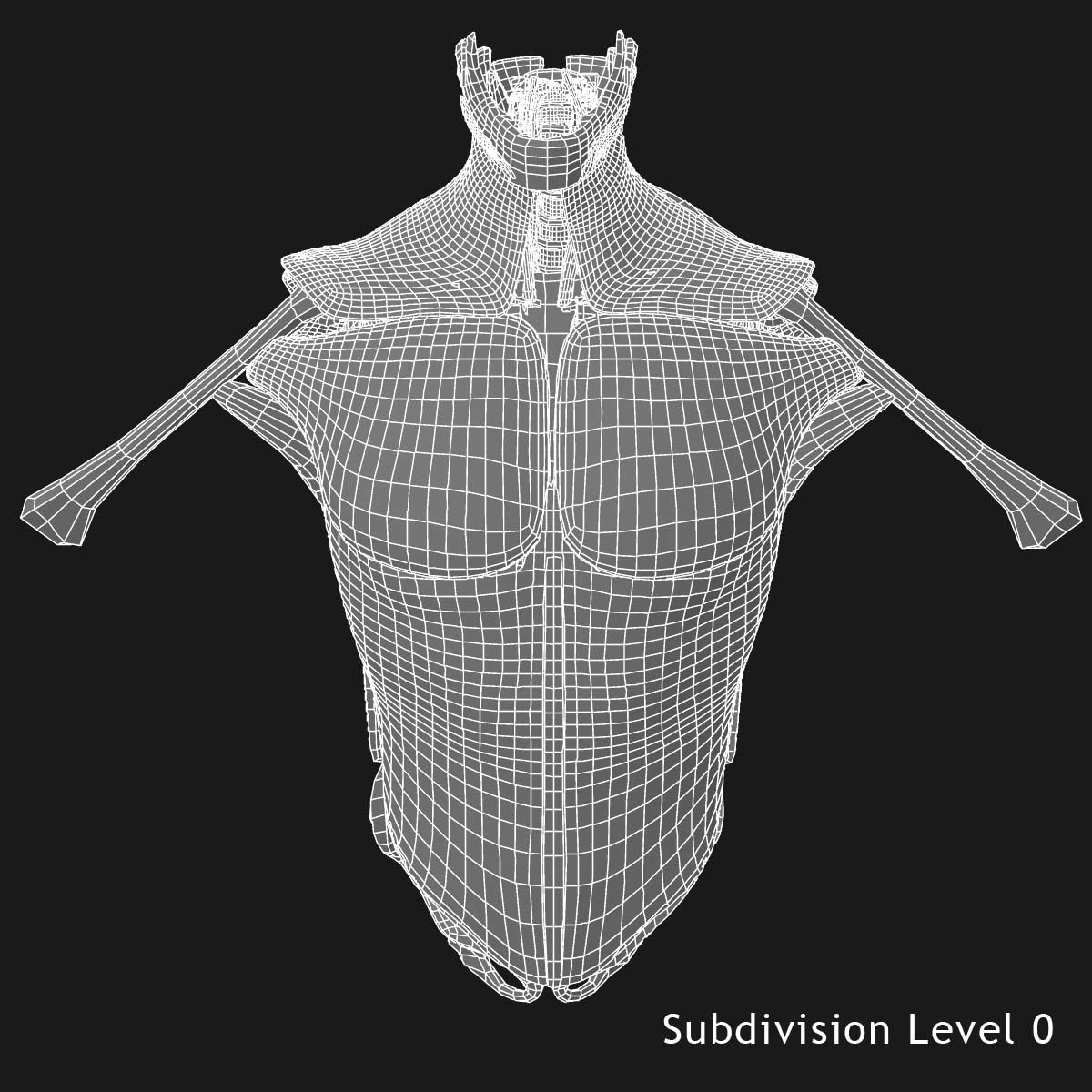ultimate complete male anatomy 3d model