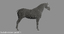 3d rigged animations clydesdales horse model
