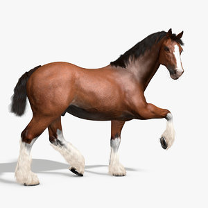 3d rigged animations clydesdales horse model