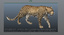 maya leopard rigged fur animations