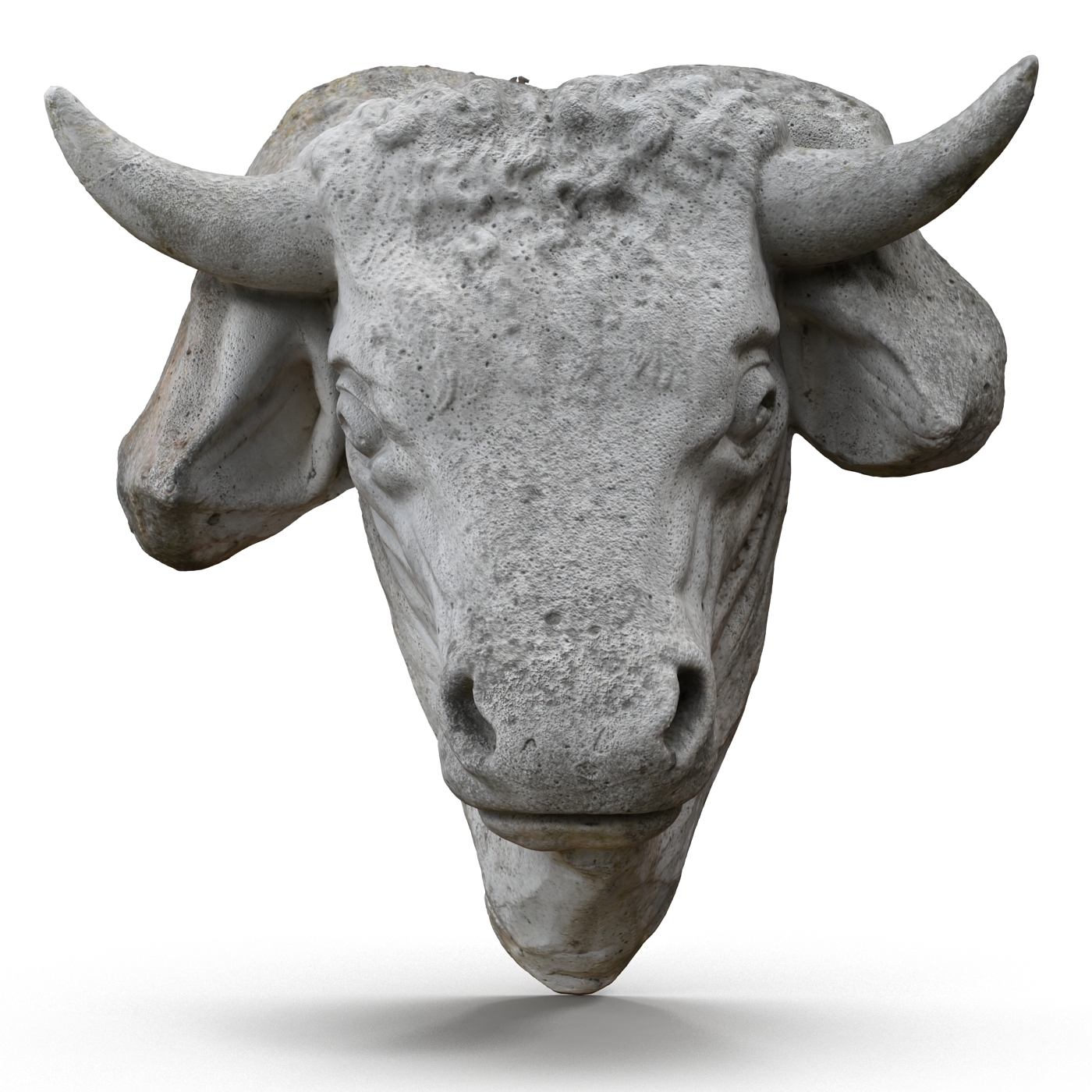 bull head stone max