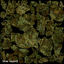 3ds max cannabis bud