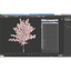 3d young tree red maple model