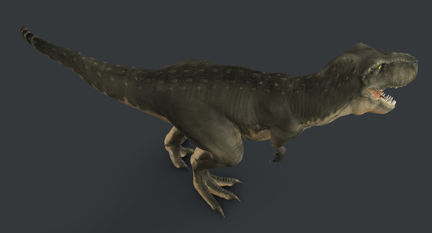 tricera rex