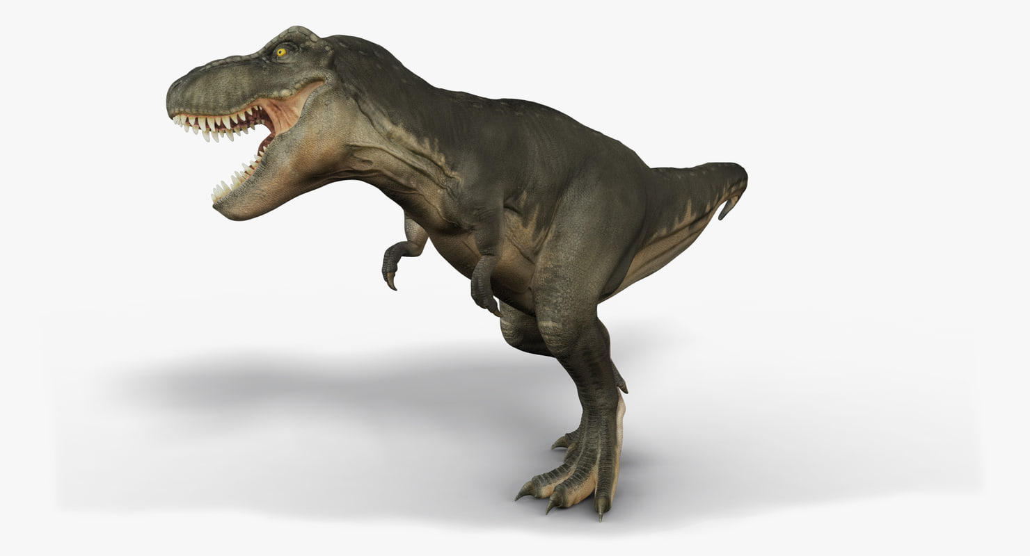 trex animation