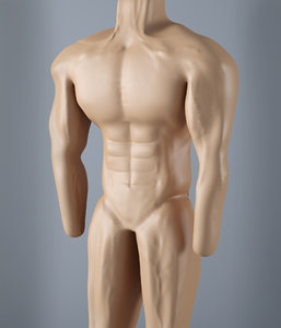 3d model man muscular