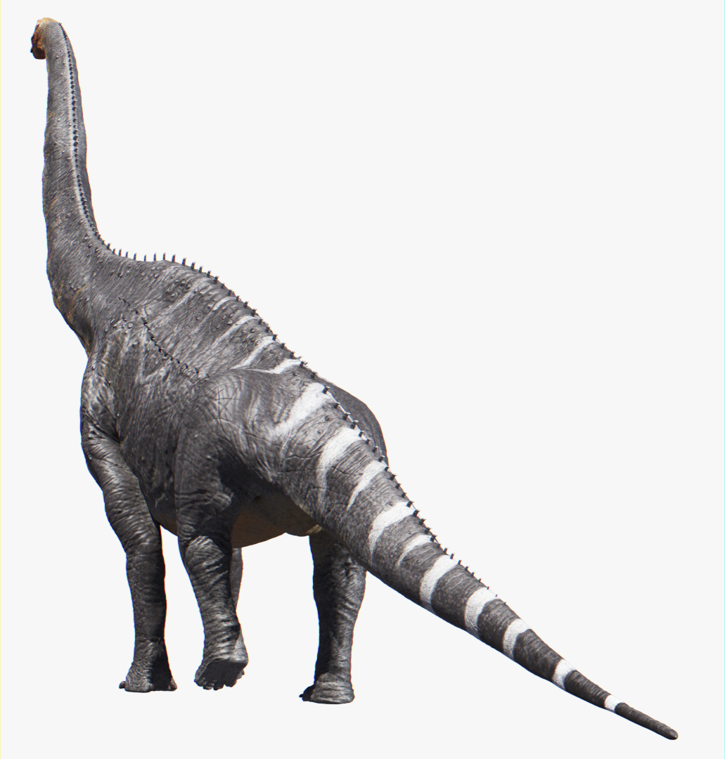 the brachiosaurus