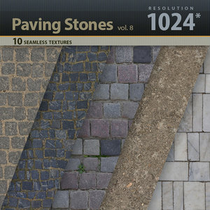 Paving Stones Textures 1024x1024 vol.8