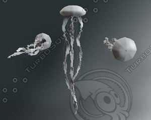 jellyfish tentacles animate 3d c4d