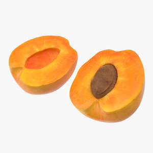 apricot cross section 3d max