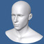 max polygonal male head character
