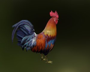 rooster rigged animations 3d model