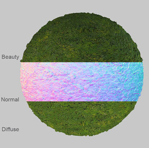 Leaves Tileable Texture