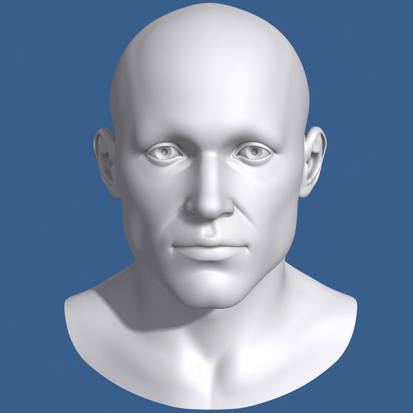 3d model polygonal male head