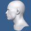 3d model polygonal male head