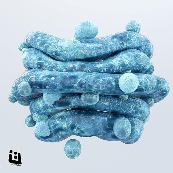 3d nasal cilia model