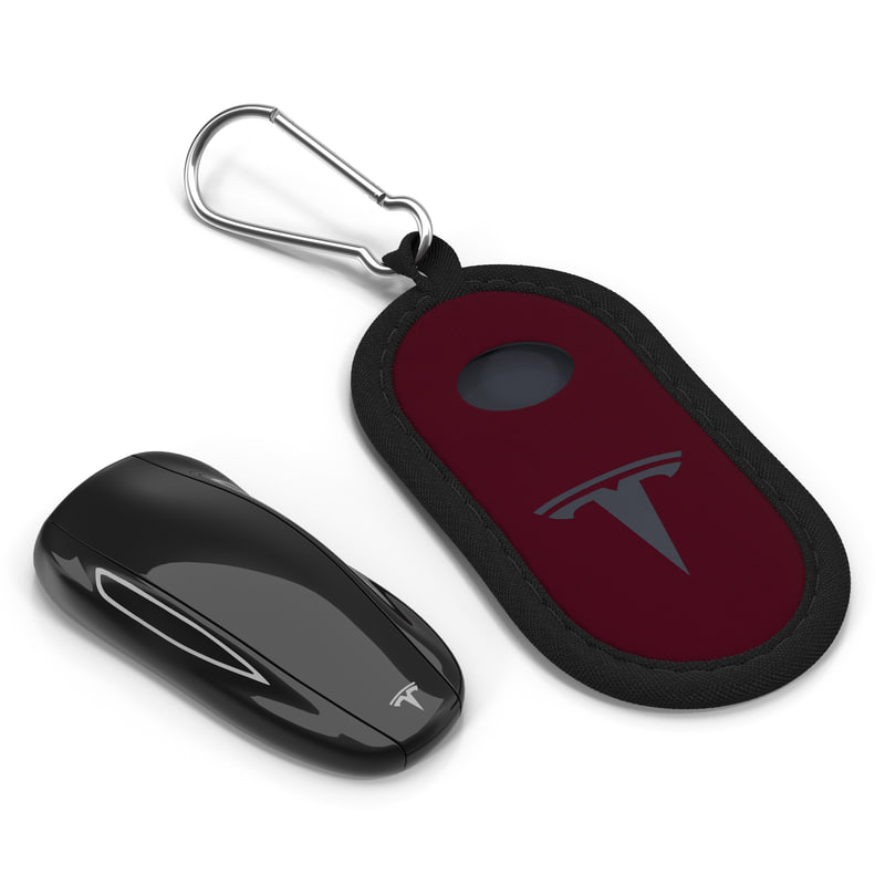 15 Tesla Key Fob Pics