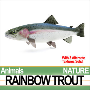 3ds max rainbow trout