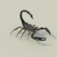 insect pack 2 3d model