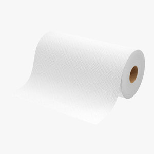 3d paper towel roll