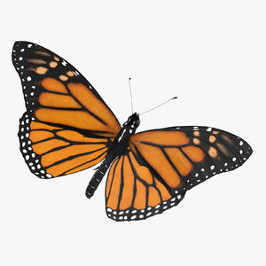 monarch butterfly standing v2 obj