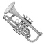 3d cornet model