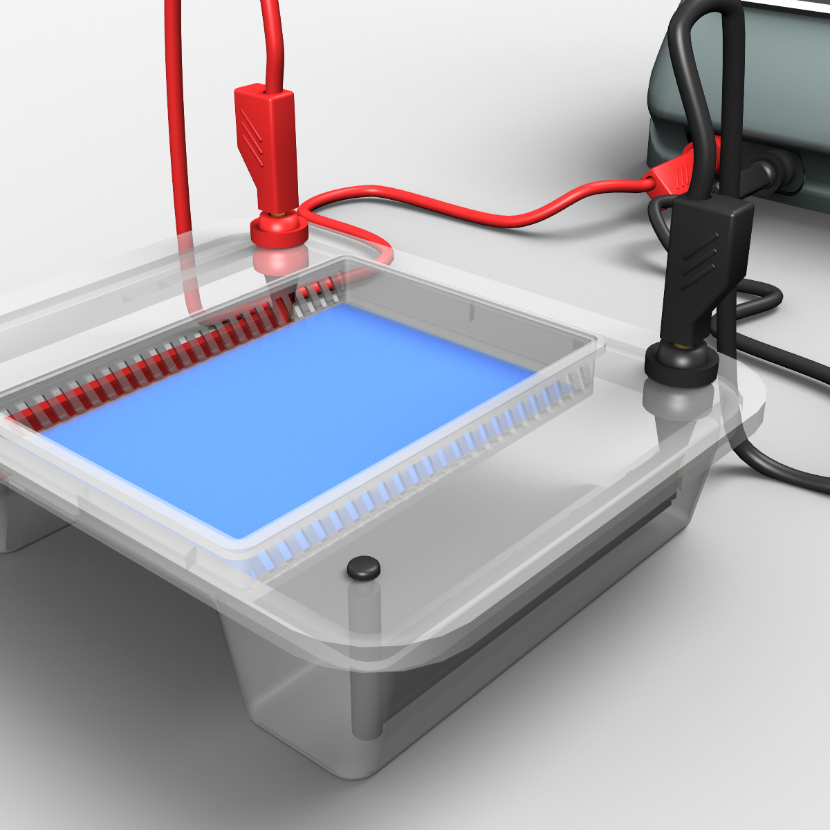 3d apparatus gel electrophoresis model