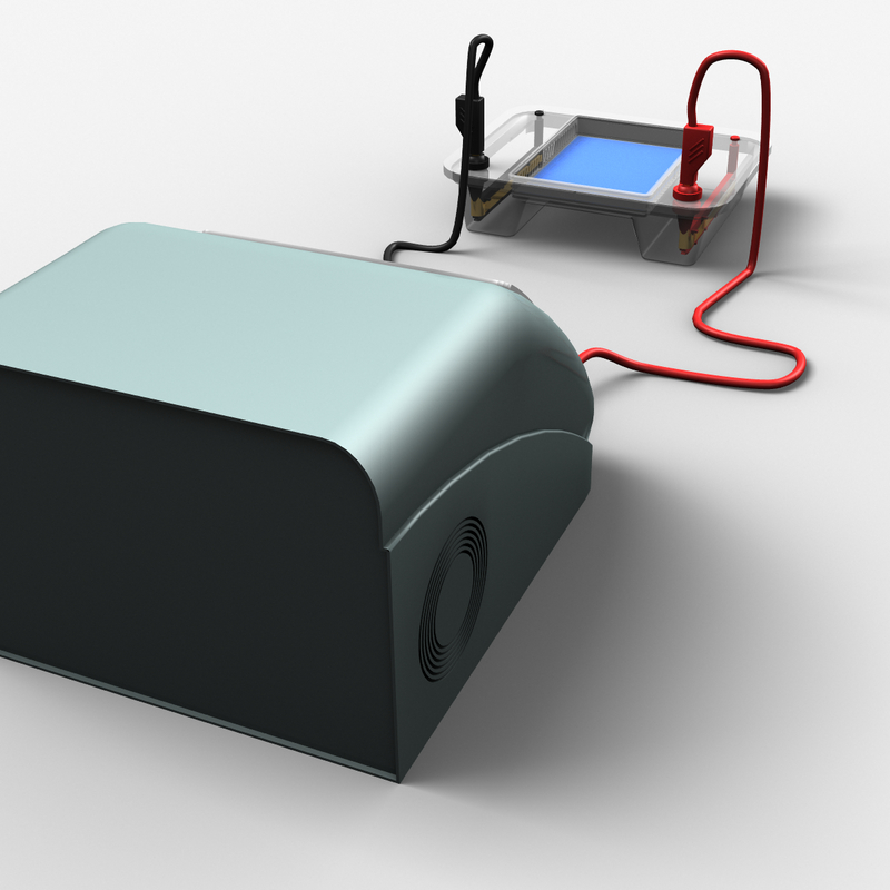 3d apparatus gel electrophoresis model