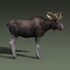 3d model moose fur