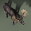 3d model moose fur