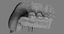 3ds max mixed dentition mouth tongue