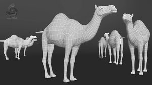 3d dromedary camel model