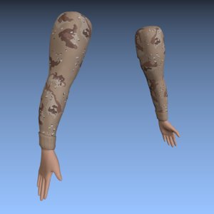 3d model fps arms rigged