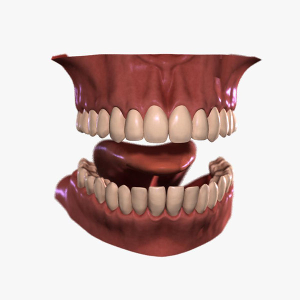 3d舌头模型