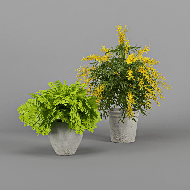  3d flower pot 