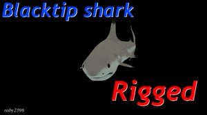 blacktip shark animation blend