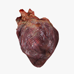 free heart 3d model