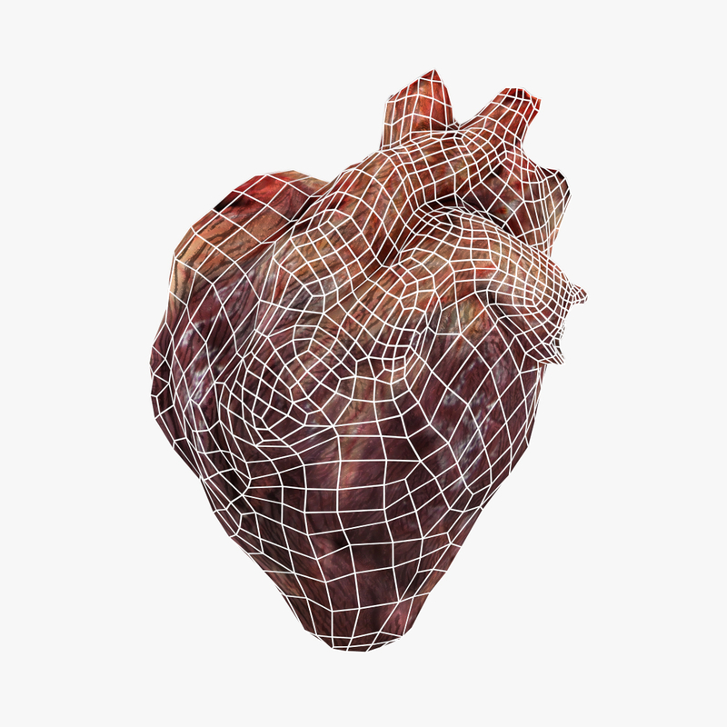 free-heart-3d-model