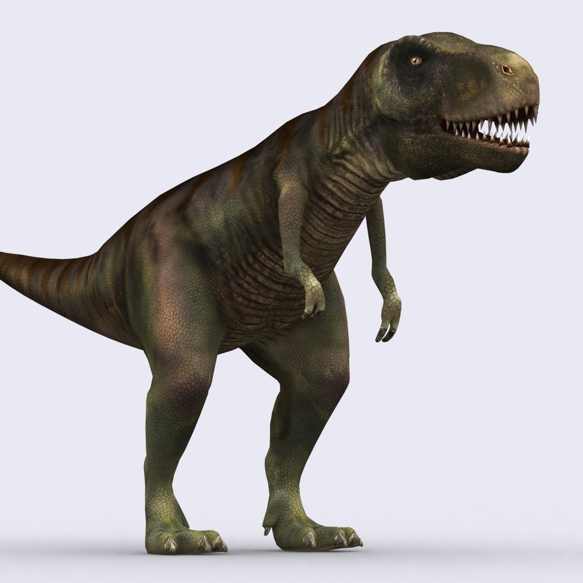 tyrannosaurus 3d