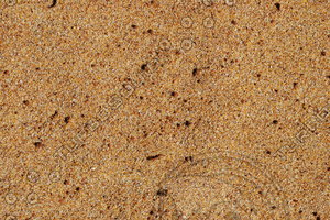 DesertSand_Texture_0001
