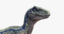 3d raptor dinosaur model