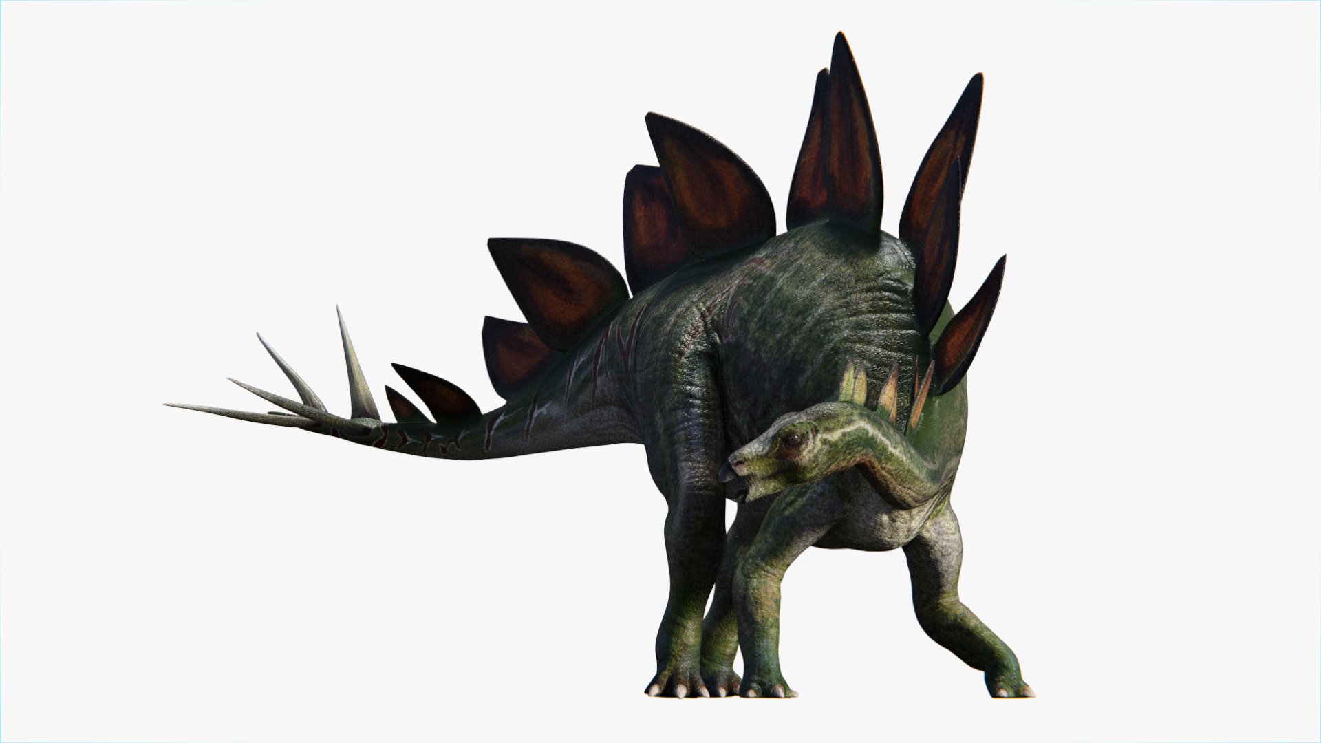 stegosaurus for 1