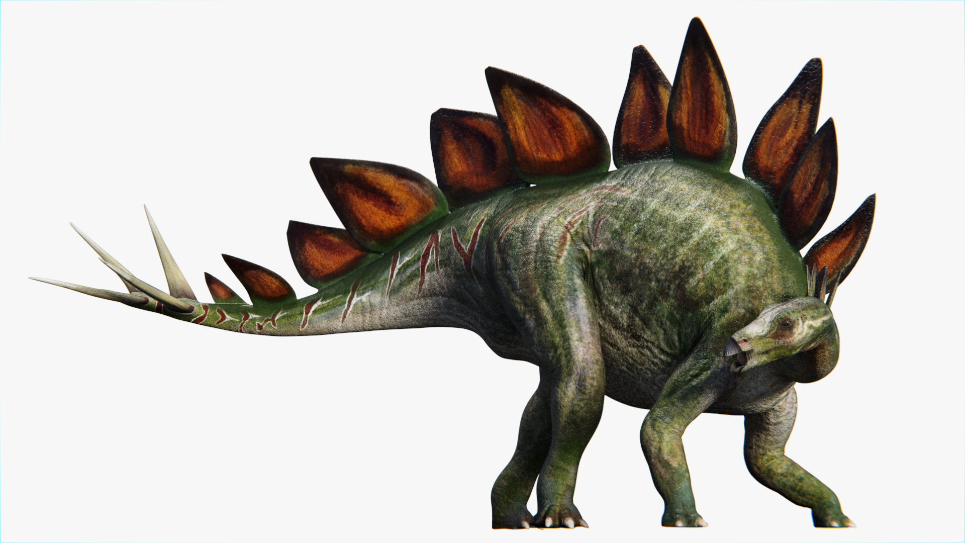 stegosaurus for 1