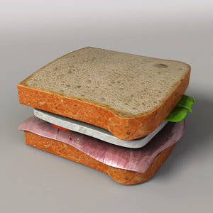 3d sandwich model